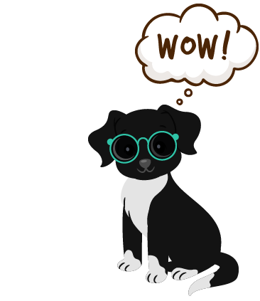 Optical Shop Dog Optical Shop Dog